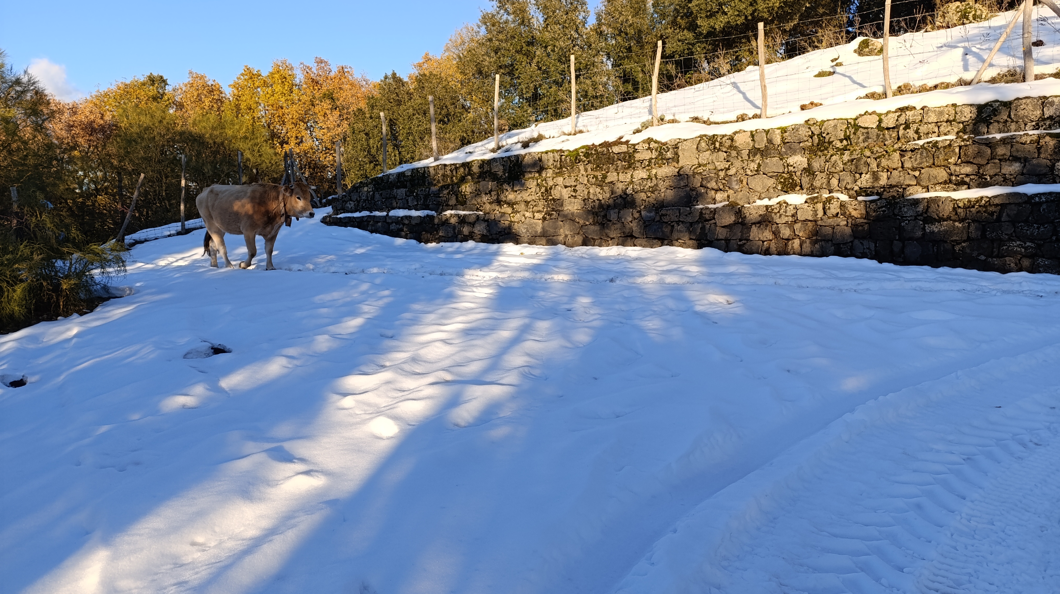 Serracozzo Etna - grotte laviche esplorazione vulcano Sicilia
